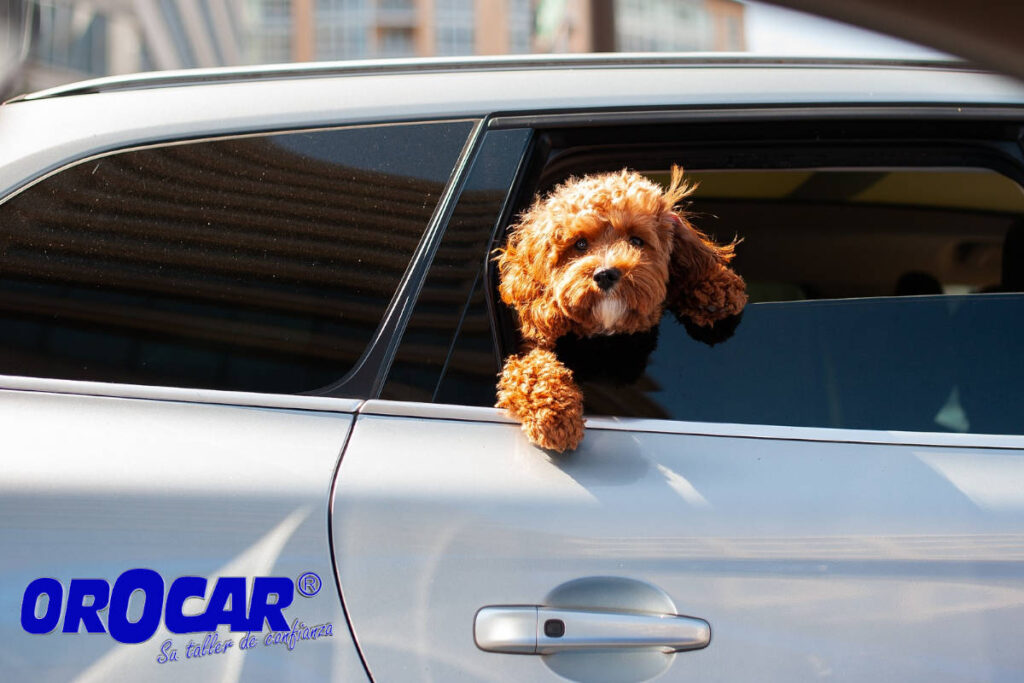 10 Claves Para Preparar Tu Coche Para El Verano Talleres Orocar